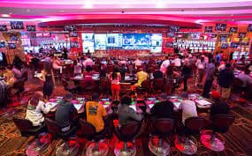 91cg1 Pasaran UFC MMA Yang Kami Susun